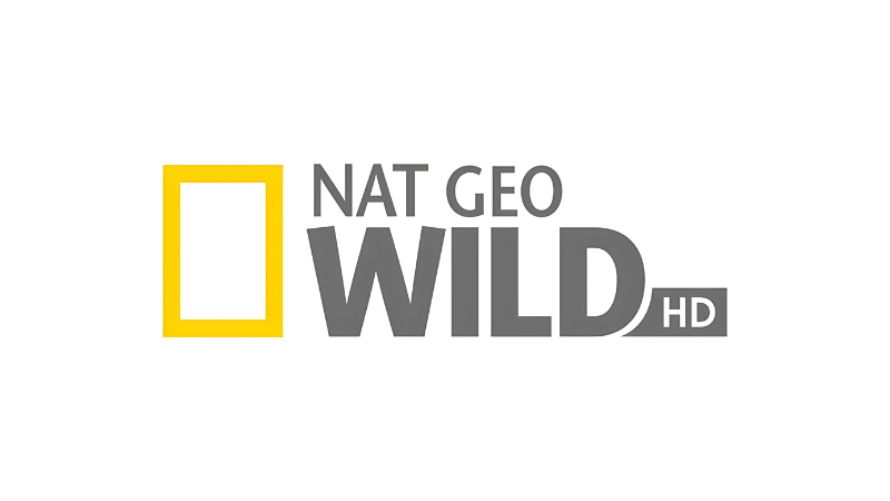 NET GEO WILD