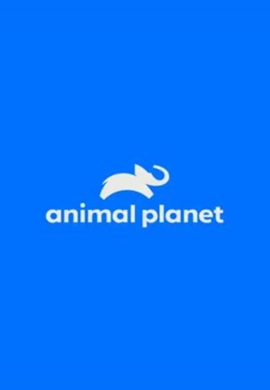 ANIMAL PLANET